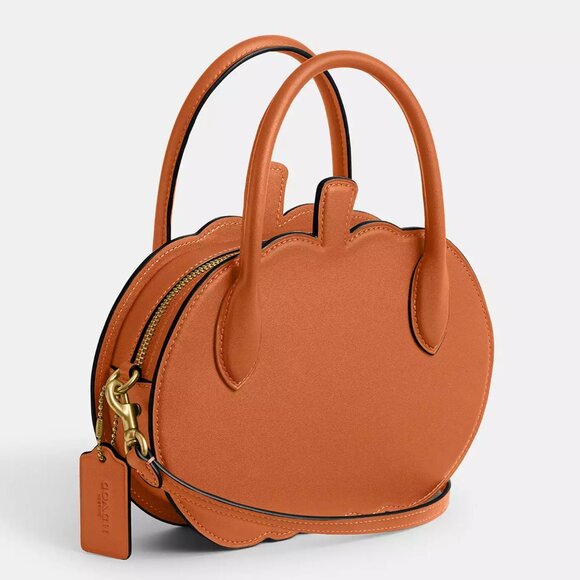 🎃 Coach pumpkin bag - Picture 3 of 12